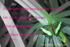 butterfly changes