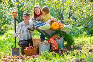 http://www.dreamstime.com/royalty-free-stock-images-happy-family-harvests-apples-garden-crop-vegetables-fruit-image38956319
