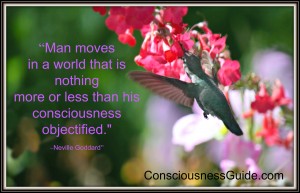 consiousness objectified