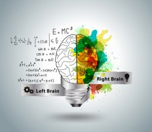 dreamstime_brain evolves