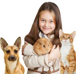 animals-sq-dreamstime