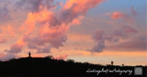 light cometh lindsaygodfree