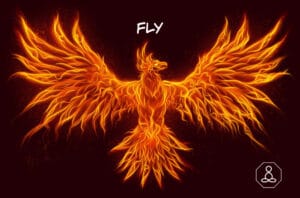 phoenix fly lindsaygodfree